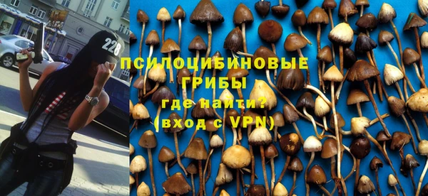 бошки Горнозаводск