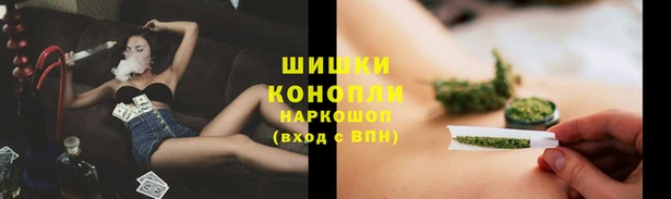 соль ск Горно-Алтайск