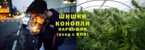соль ск Горно-Алтайск
