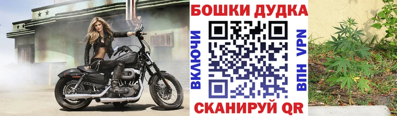 Бошки Шишки White Widow  гидра маркетплейс  Владикавказ 